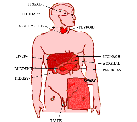 Define steroids biology